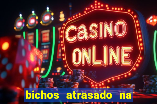 bichos atrasado na loteria dos sonhos